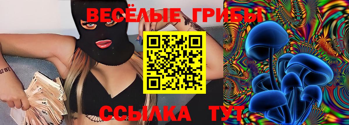 Галлюциногенные грибы Cubensis Магадан