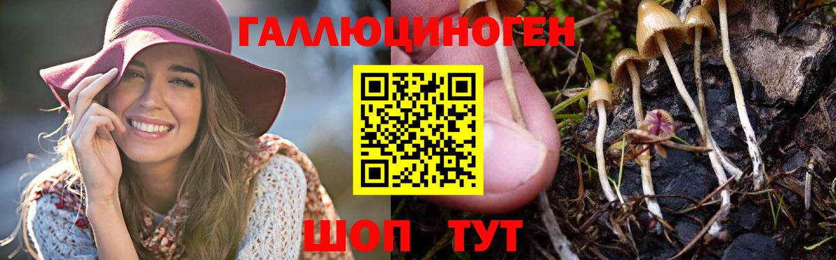 Псилоцибиновые грибы Magic Shrooms  Вход с VPN  Псилоцибиновые грибы Magic Shrooms  Магадан 