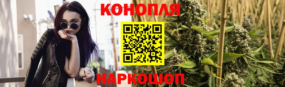 Шишки марихуана конопля  Вход с VPN  Магадан  Марихуана Amnesia  Канабис планчик 